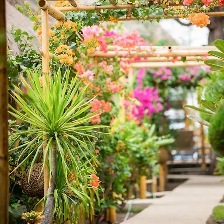 Bambu Cottages-2